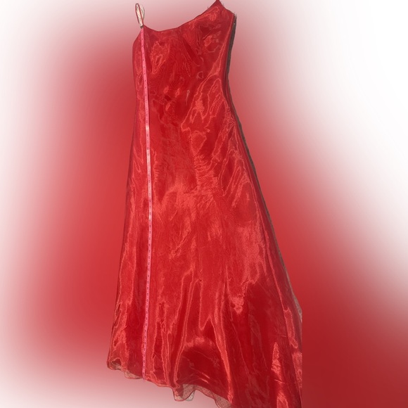 Vintage Gown - Picture 15 of 16